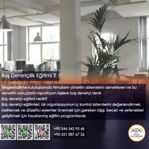 Baş Denetçilik Eğitimi
